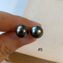 Load image into Gallery viewer, AA Tahitian Pearl Studs 14kGF: #4-6