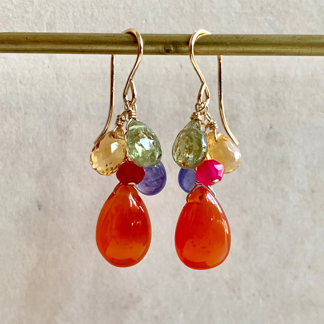 Vibrant Rainbow Carnelian Gold Filled Earrings