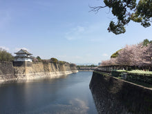 Load image into Gallery viewer, Sakura